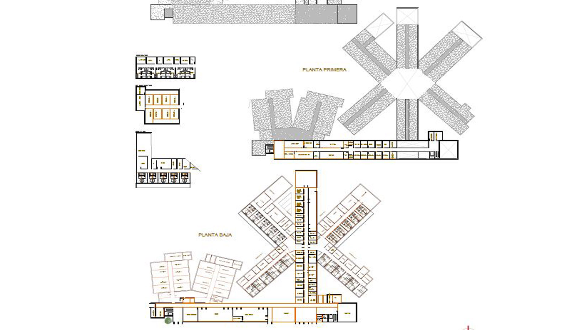 plantas vista imagenes
