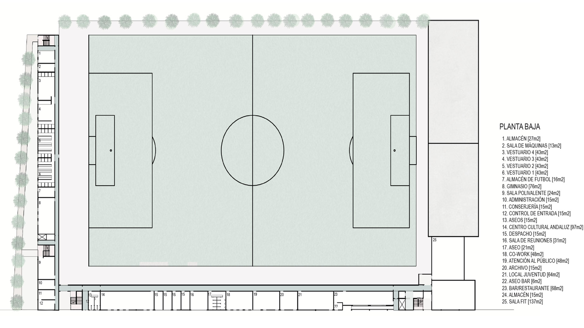 vista planta imagenes