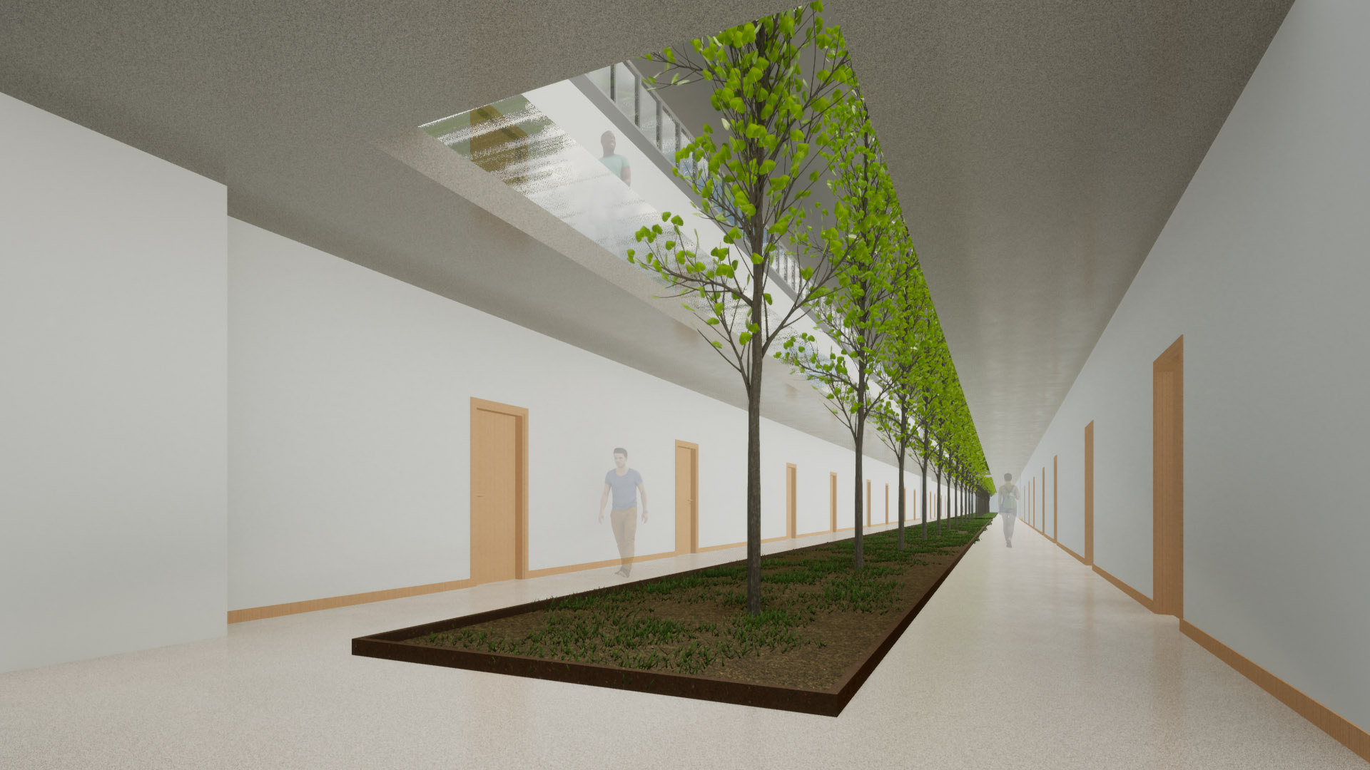 vista imagenes esapcio central