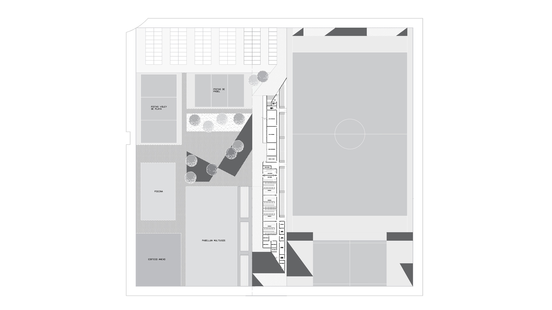 vista planta imagenes